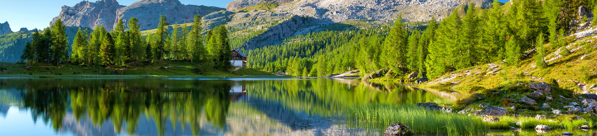 טיולים מאורגנים לאירופה