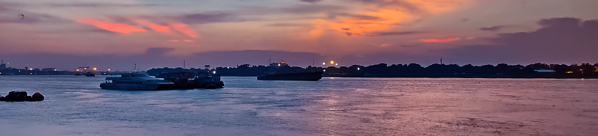 מאורגנים להודו